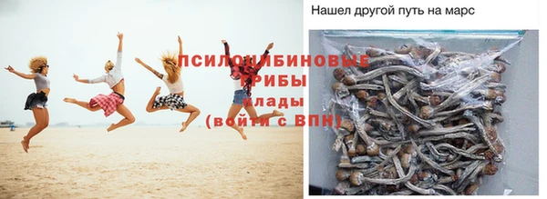ГАЛЛЮЦИНОГЕННЫЕ ГРИБЫ Абдулино