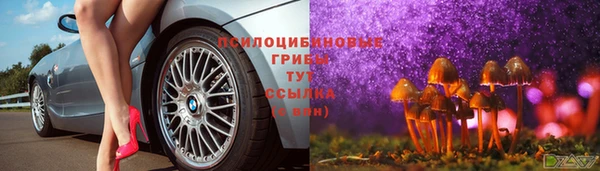 ГАЛЛЮЦИНОГЕННЫЕ ГРИБЫ Абдулино