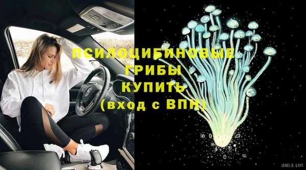 хмурый Алзамай