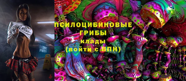 хмурый Алзамай