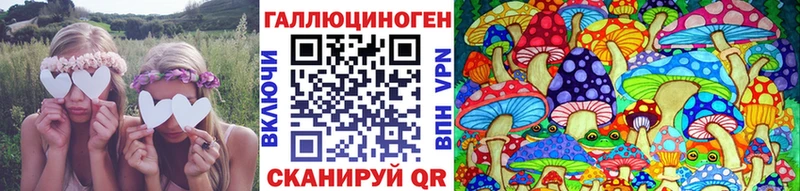 закладки  Чайковский  omg рабочий сайт  Галлюциногенные грибы Psilocybine cubensis 
